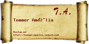 Temmer Amália névjegykártya