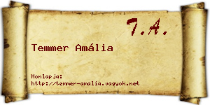 Temmer Amália névjegykártya