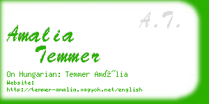 amalia temmer business card